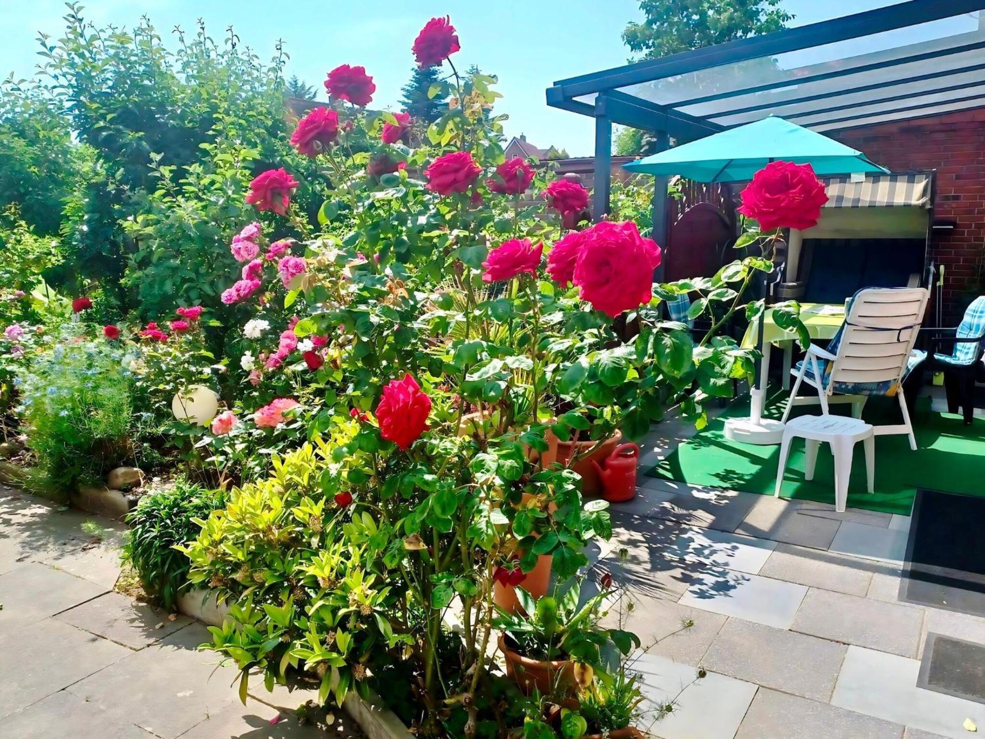 Apartments Stapel, Buesum Екстериор снимка